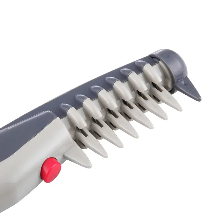 نص بديل للصورة