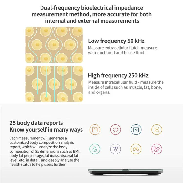 Texto alternativo de imagen