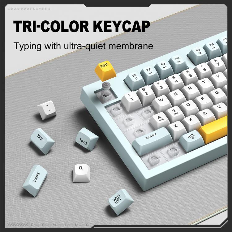 نص بديل للصورة