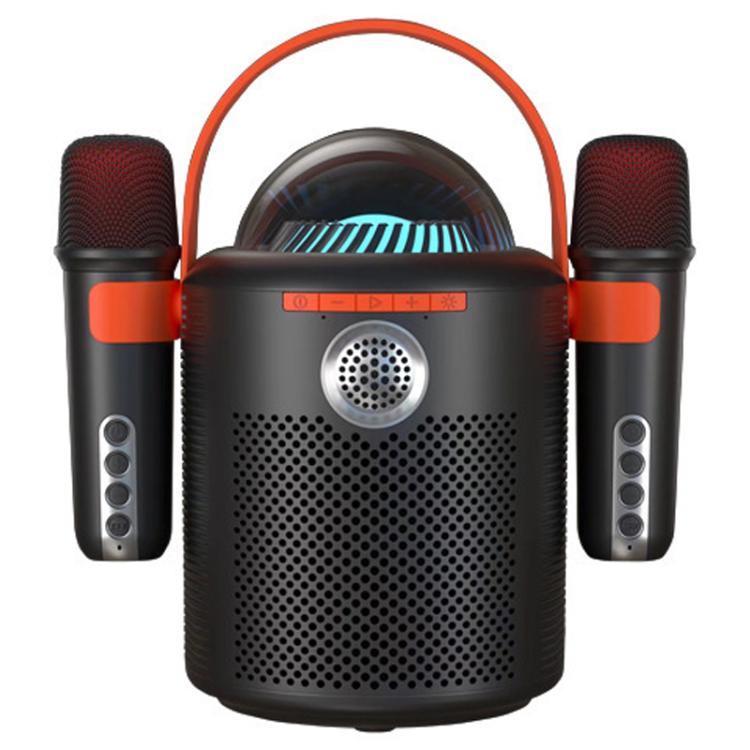 Lebo Y11 Outdoor Portable Wireless Karaoke Dual Microphone Bluetooth Speaker