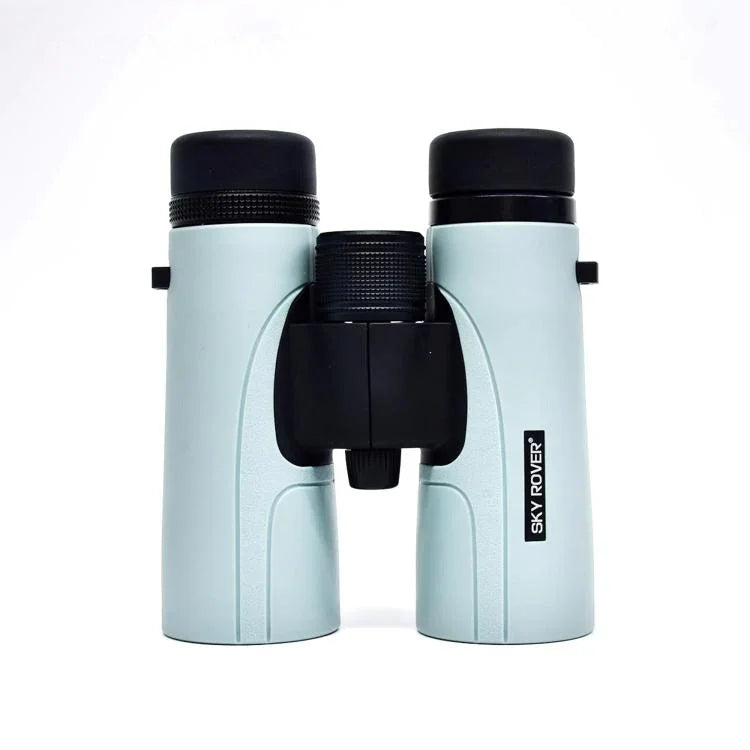 نص بديل للصورة