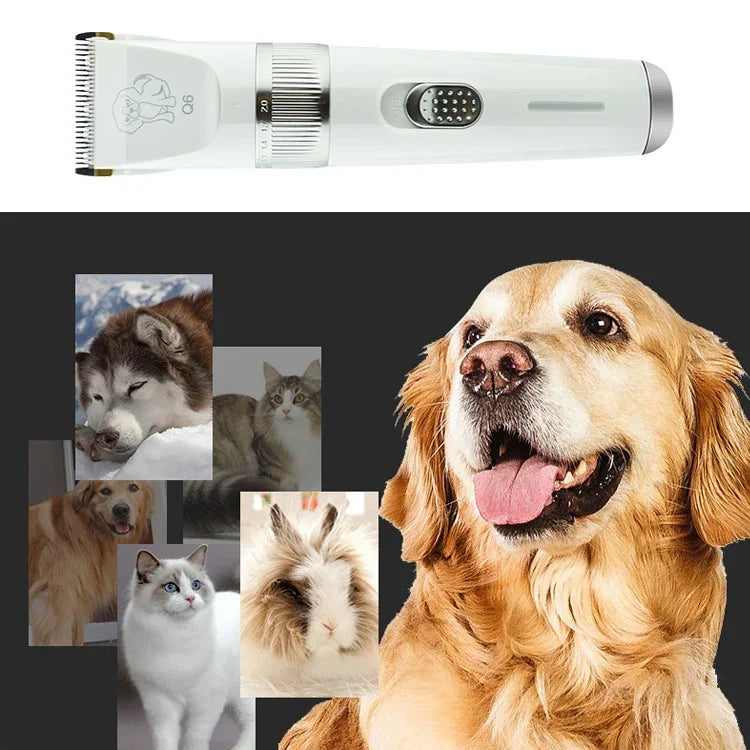 Q6 Afeitadora Eléctrica para Mascotas con Carga USB y Cuatro Peines, Afeitadora Q6