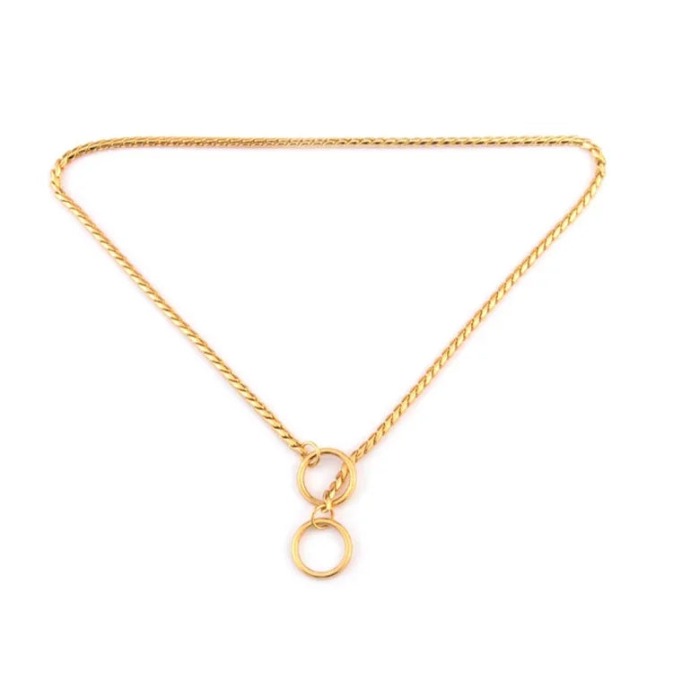 نص بديل للصورة