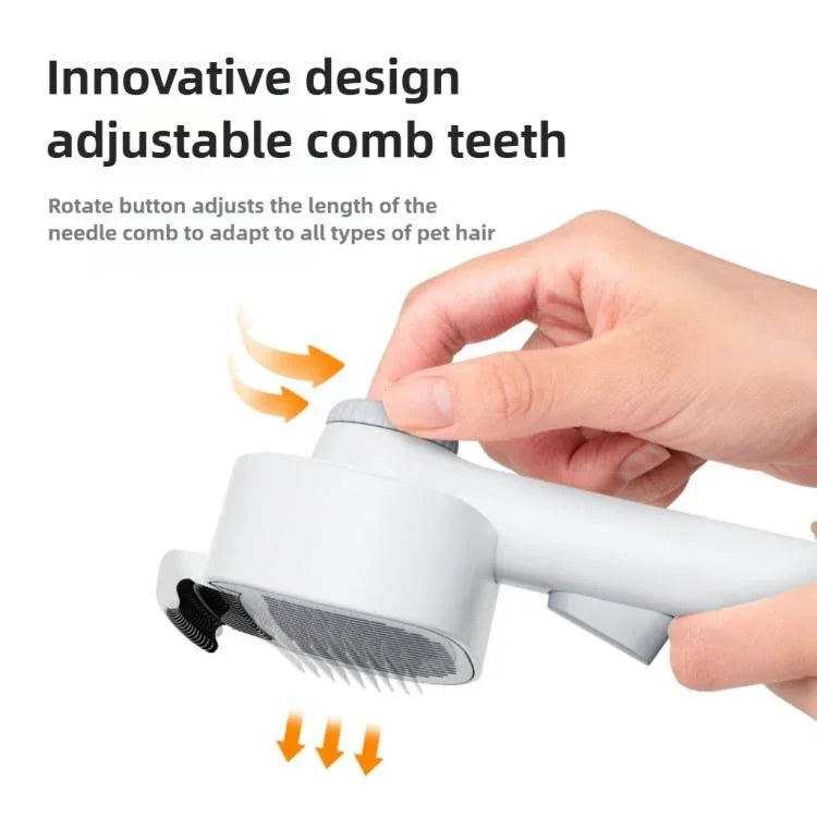 نص بديل للصورة