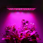 45W 144LEDs Full Spectrum Plant Lighting Fitolampy For Plants Flowers Seedling Cultivation Growing Lamps LED Grow Light AC85-265V, US, EU, AU, UK