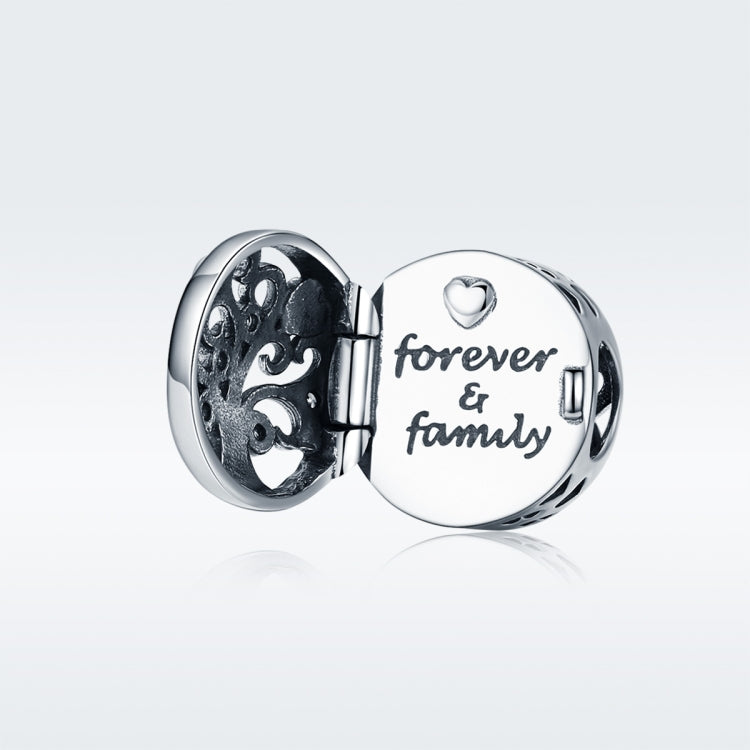 نص بديل للصورة