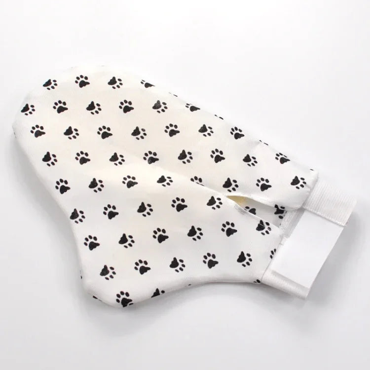 نص بديل للصورة