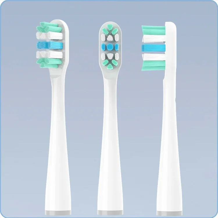 نص بديل للصورة