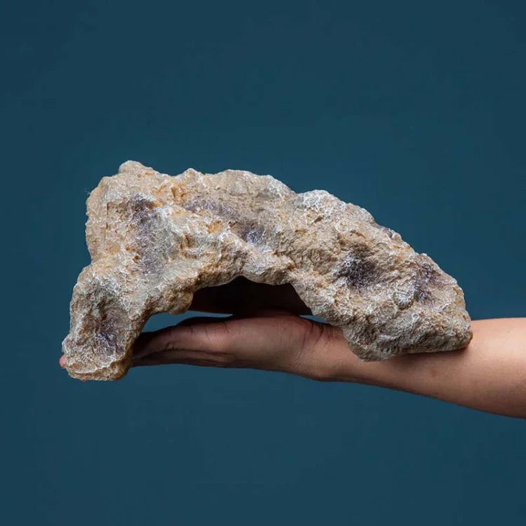 نص بديل للصورة